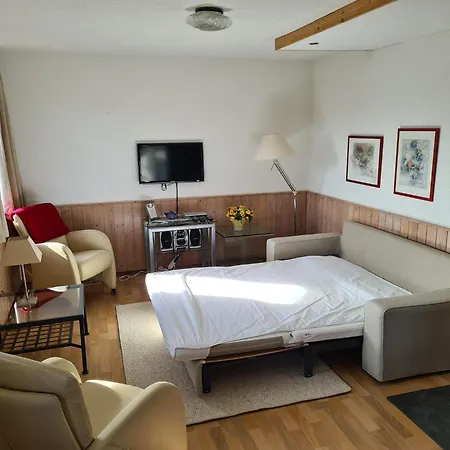 Daire In Nahe Skipisten, Cleaning Included Frankenau