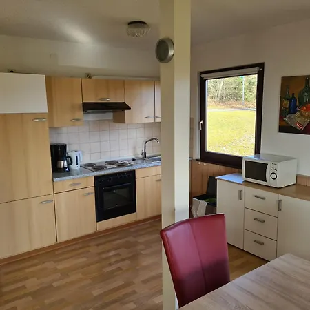 In Nahe Skipisten, Cleaning Included Daire Frankenau