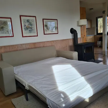 In Nahe Skipisten, Cleaning Included Daire Frankenau